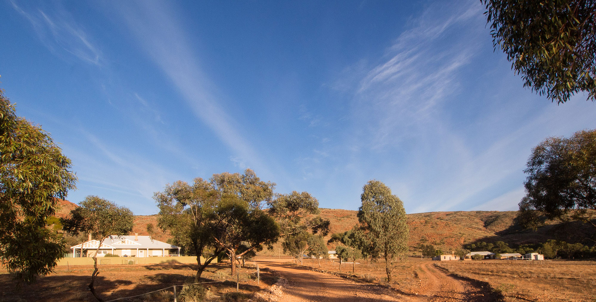 Hiltaba-Homestead-website.jpg Hiltaba-Homestead-website.jpg