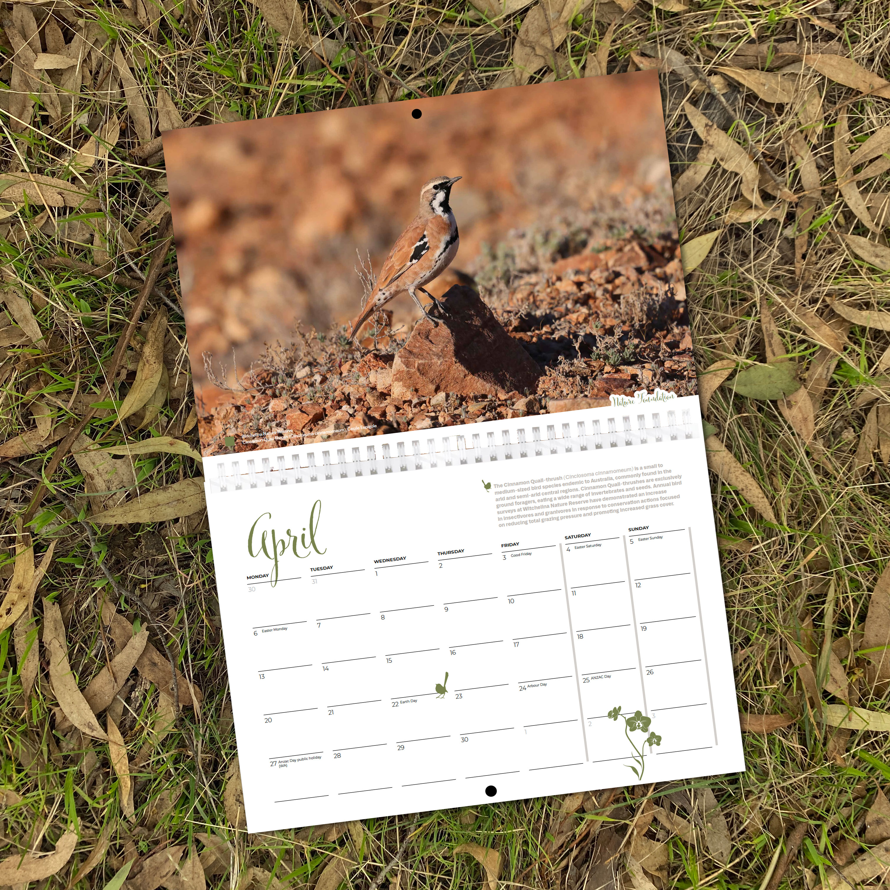 NF-2026-Nature-Calendar-April-square.jpg