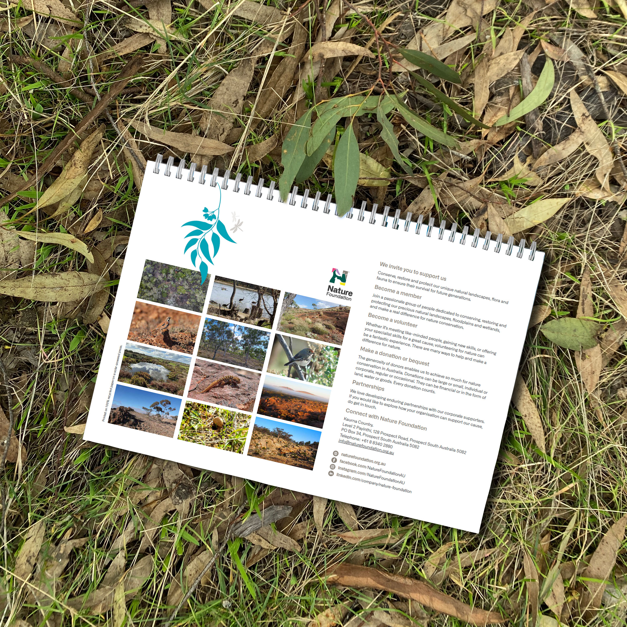 NF-2026-Nature-Calendar-back-cover-square.jpg