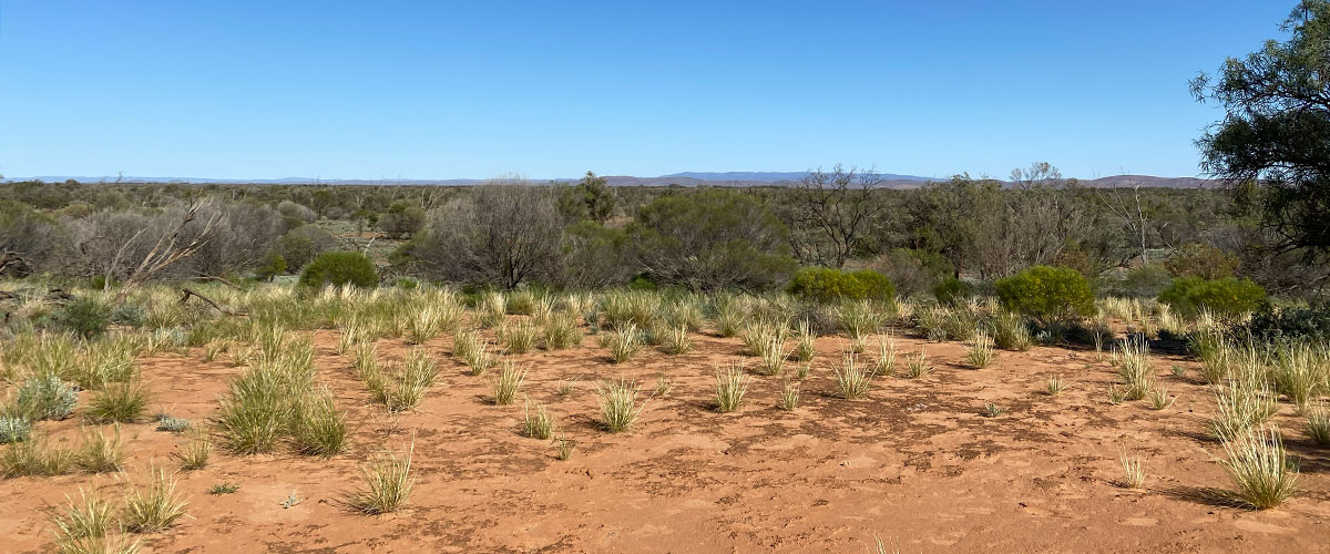 2023-Student-Research-Grant-Rebecca-Greening-web-full-width-landscape.jpg 2023-Student-Research-Grant-Rebecca-Greening-web-full-width-landscape.jpg