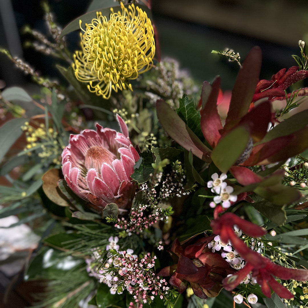 2025-EasyFlowers-Native-square.jpg 2025-EasyFlowers-Native-square.jpg