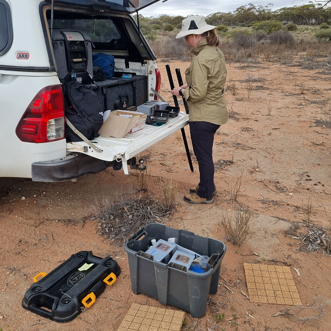 Lucy-survey-setup-square.jpg