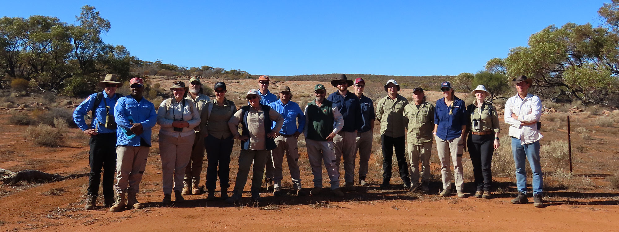 Desert-Greenhood-survey-group-full-width.jpg Desert-Greenhood-survey-group-full-width.jpg