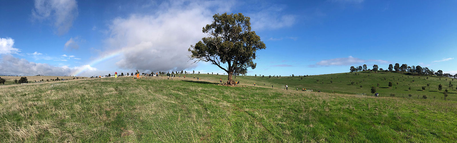 Para-Woodlands-planting-day-2021-panorama-web-full-width.jpg