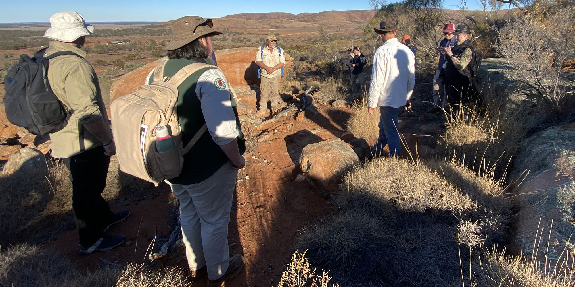 Desert-Greenhood-survey-search-full-width.jpg Desert-Greenhood-survey-search-full-width.jpg